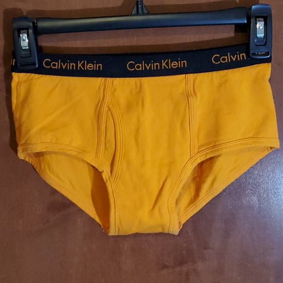 Calvin Klein Underwear Other - Calvin Klein Orange Fly Briefs - XS
